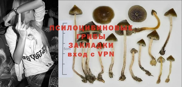 прущая мука Навашино