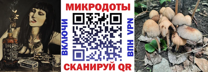 Галлюциногенные грибы GOLDEN TEACHER Пудож