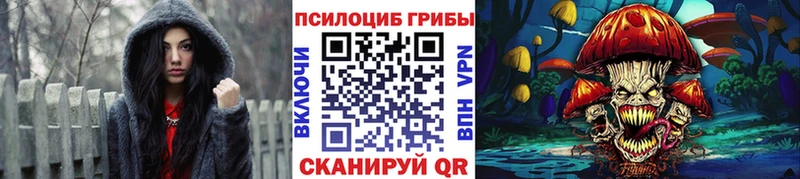 Галлюциногенные грибы мицелий Пудож