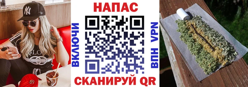 Конопля сатива  OMG tor  Пудож  купить закладку 
